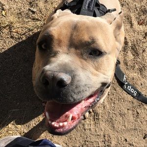 Meet your Posher, Mark